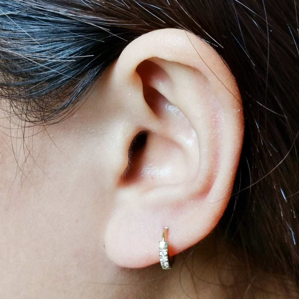 MESS26 STAINLESS STEEL EARRING WITH CZ AAB CO..