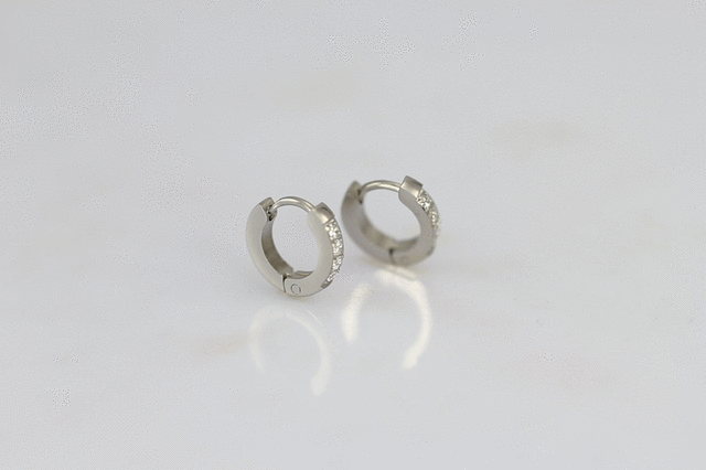 MESS26 STAINLESS STEEL EARRING WITH CZ