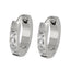 MESS26 STAINLESS STEEL EARRING WITH CZ