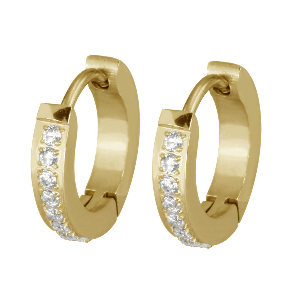 MESS27 STAINLESS STEEL EARRING WITH CZ