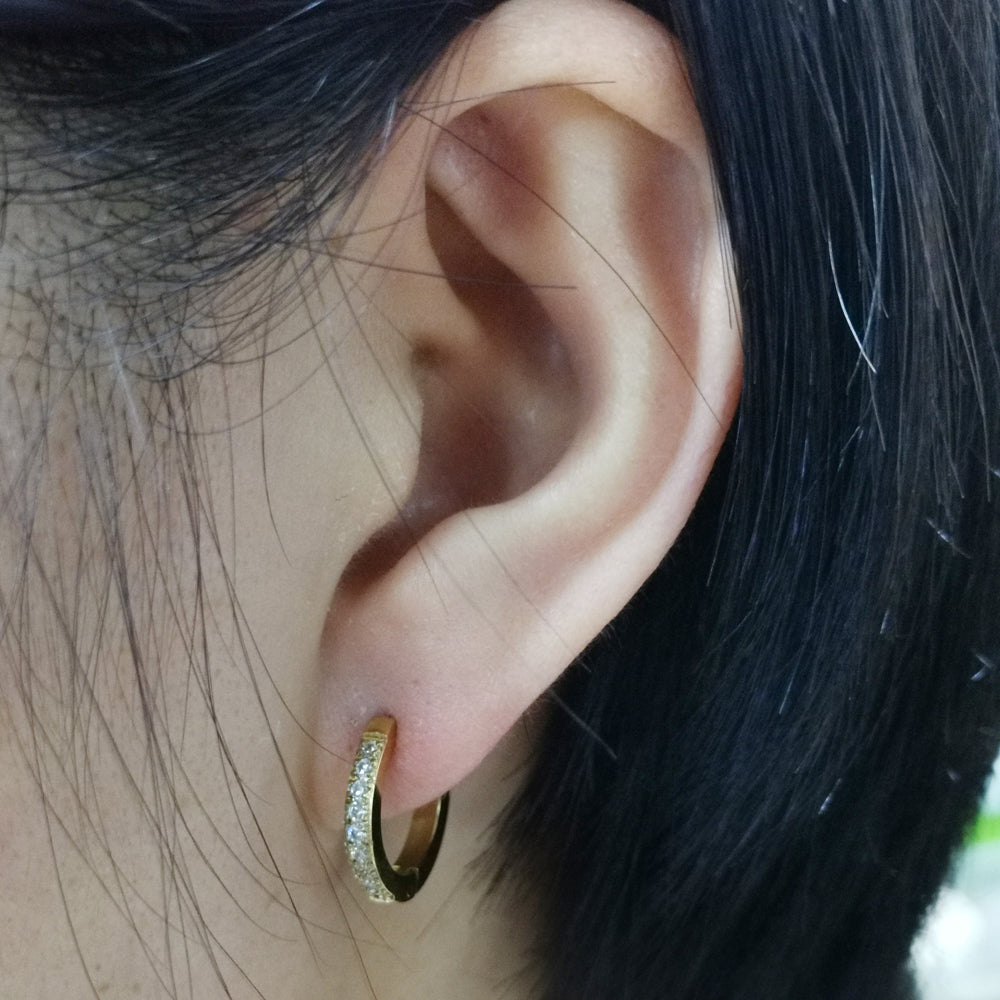 MESS28 STAINLESS STEEL EARRING WITH CZ AAB CO..