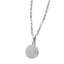 PSS1042 STAINLESS STEEL PENDANT