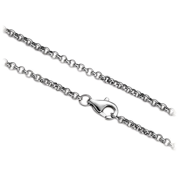NSSC80 STAINLESS STEEL CHAIN