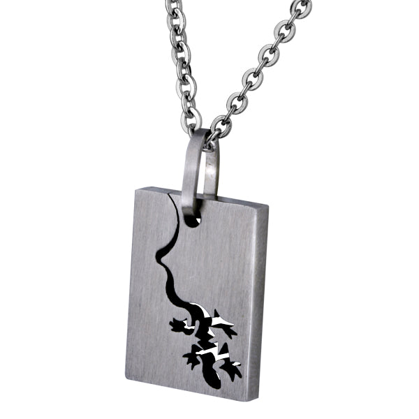 NSSO186 STAINLESS STEEL PENDANT AAB CO..