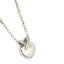 PSS1074 STAINLESS STEEL PENDANT