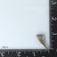 PSS1097 STAINLESS STEEL PENDANT AAB CO..