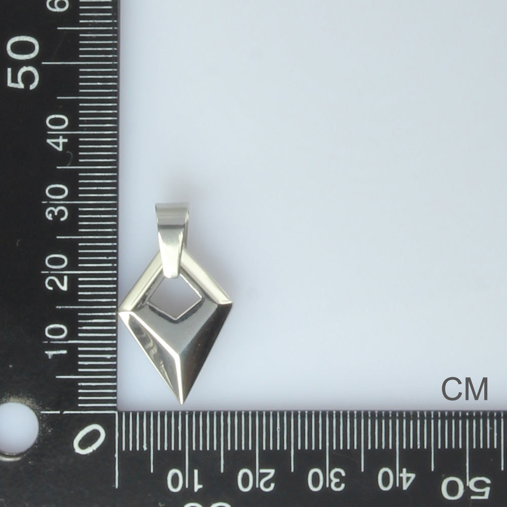 PSS1101 STAINLESS STEEL PENDANT AAB CO..