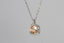 PSS1118 STAINLESS STEEL PENDANT AAB CO..
