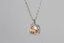 PSS1118 STAINLESS STEEL PENDANT