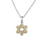 PSS1226 STAINLESS STEEL PENDANT WITH CASTING STONE (STAR OF DAVID)
