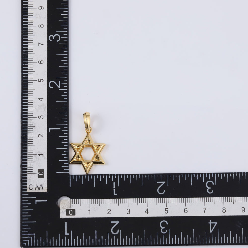 PSS1228 STAINLESS STEEL STAR OF DAVID PENDANT AAB CO..