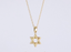 PSS1228 STAINLESS STEEL STAR OF DAVID PENDANT AAB CO..