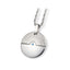 PSS250 STAINLESS STEEL PENDANT CZ