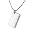 PSS395 STAINLESS STEEL PENDANT