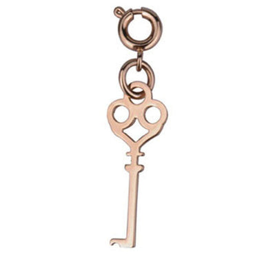 PSS498 STAINLESS STEEL PENDANT AAB CO..