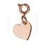 PSS499 STAINLESS STEEL PENDANT