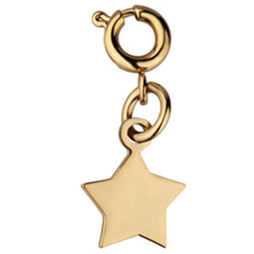 PSS502 STAINLESS STEEL PENDANT AAB CO..