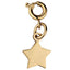 PSS502 STAINLESS STEEL PENDANT