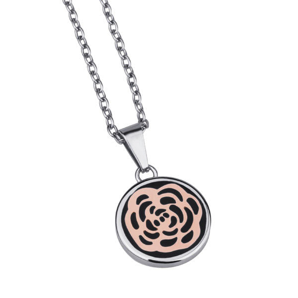 PSS525 STAINLESS STEEL PENDANT AAB CO..