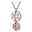 PSS533 STAINLESS STEEL PENDANT