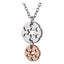 PSS533 STAINLESS STEEL PENDANT