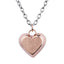 PSS585 STAINLESS STEEL PENDANT AAB CO..