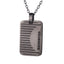 PSS670 STAINLESS STEEL PENDANT