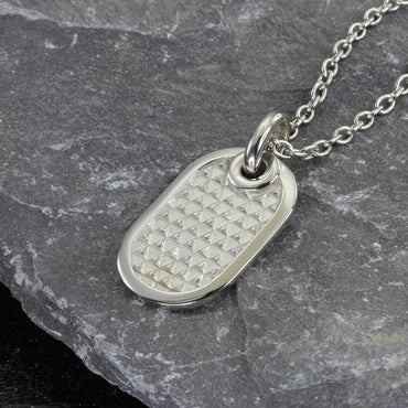 PSS685 STAINLESS STEEL PENDANT AAB CO..