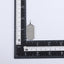 PSS758 STAINLESS STEEL PENDANT AAB CO..