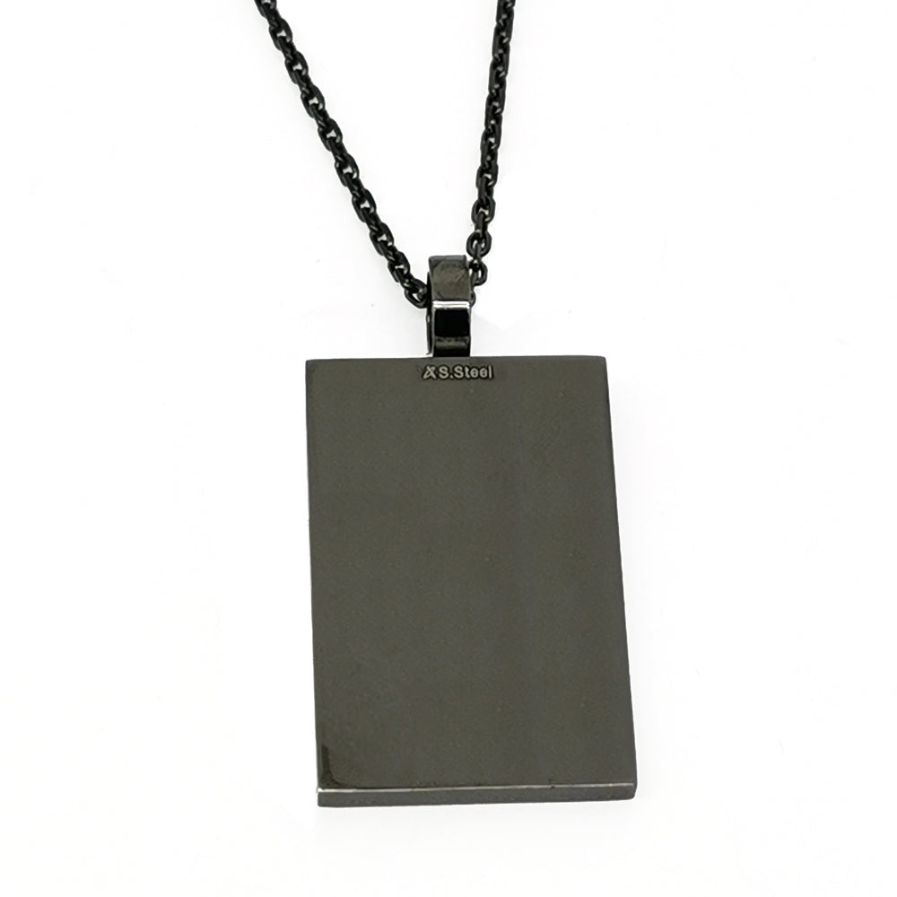 PSS809 STAINLESS STEEL PENDANT AAB CO..