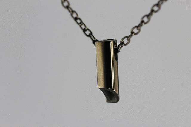 PSS837 STAINLESS STEEL PENDANT(D)