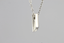 PSS837 STAINLESS STEEL PENDANT(D)