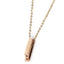 PSS838 STAINLESS STEEL PENDANT(E)