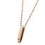 PSS838 STAINLESS STEEL PENDANT(E) AAB CO..