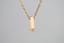 PSS838 STAINLESS STEEL PENDANT(E)