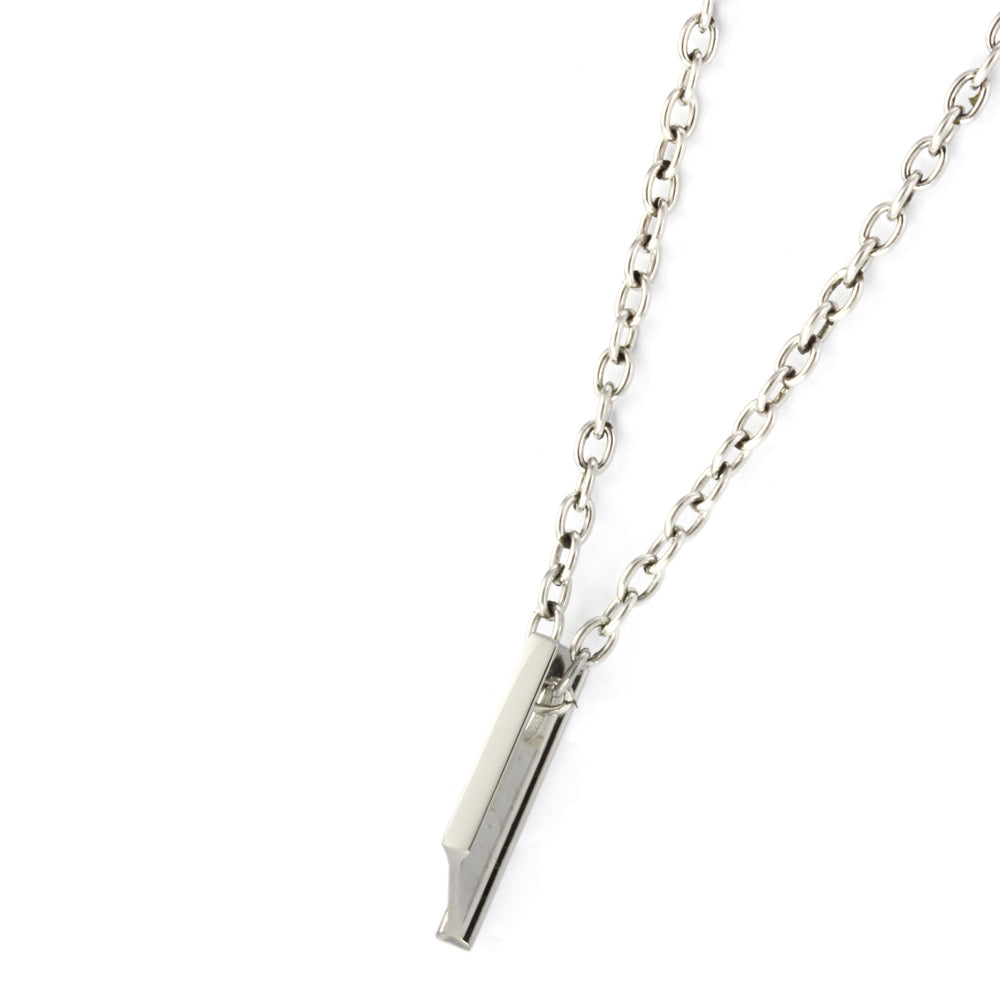 PSS842 STAINLESS STEEL PENDANT(I)