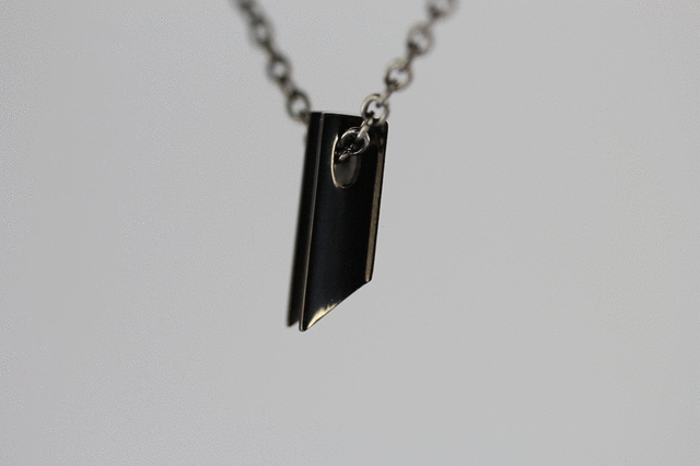 PSS856 STAINLESS STEEL PENDANT(W)
