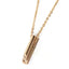PSS861 STAINLESS STEEL PENDANT (&)