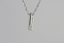 PSS861 STAINLESS STEEL PENDANT (&)