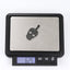 PSS869 STAINLESS STEEL PENDANT