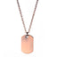 PSS872 STAINLESS STEEL PENDANT