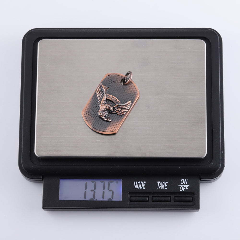 PSS872 STAINLESS STEEL PENDANT