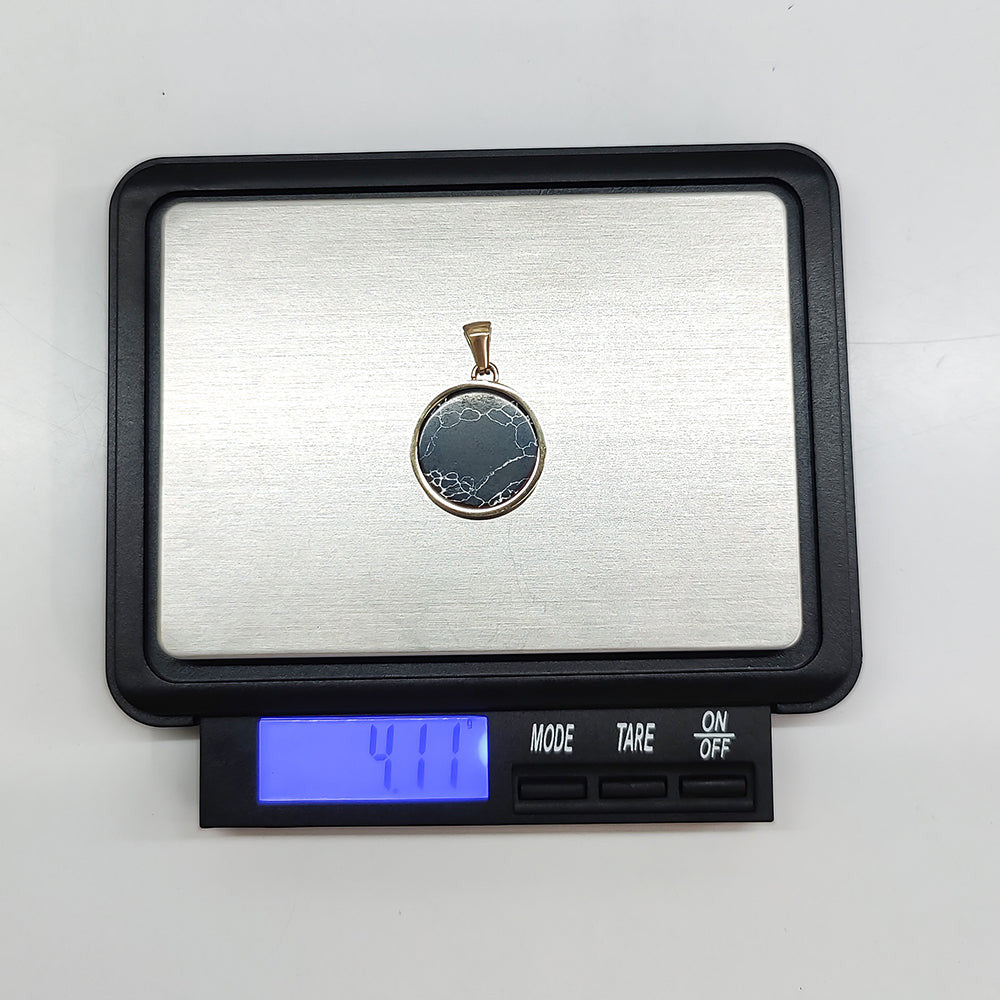 PSS904 STAINLESS STEEL PENDANT AAB CO..