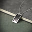 PSSM01 STAINLESS STEEL PENDANT AAB CO..