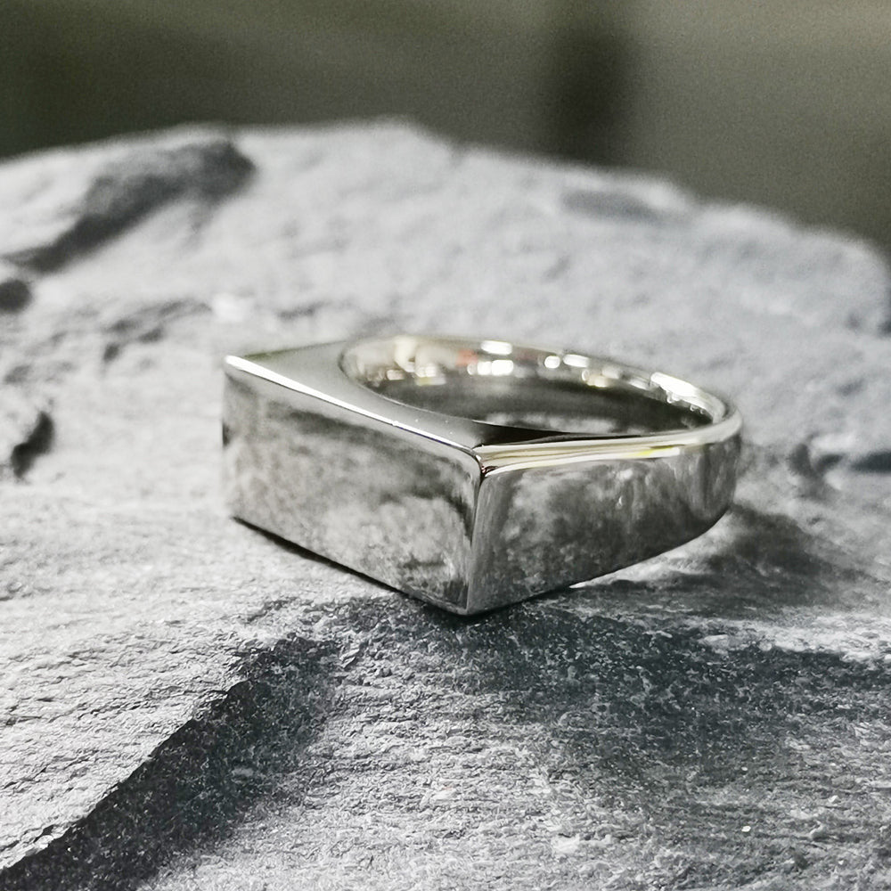 RSS1005 STAINLESS STEEL RING AAB CO..