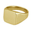 RSS1006 STAINLESS STEEL RING