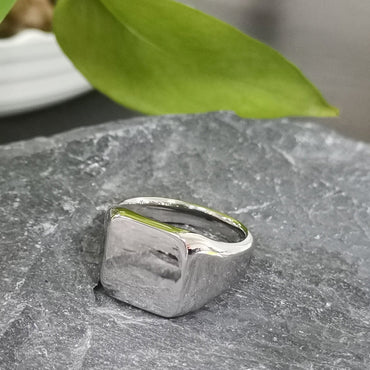 RSS1006 STAINLESS STEEL RING AAB CO..