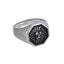 RSS1016 STAINLESS STEEL RING WITH LION