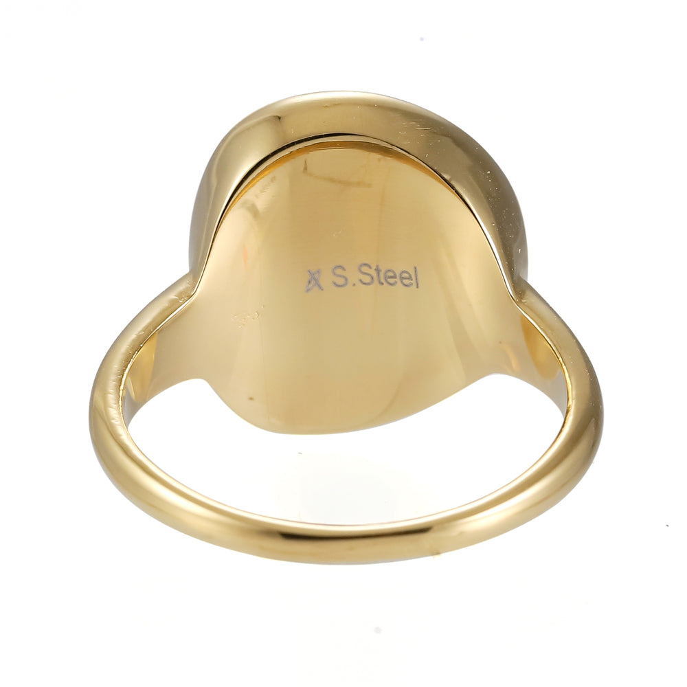 RSS1042 STAINLESS STEEL RING WITH EPOXY