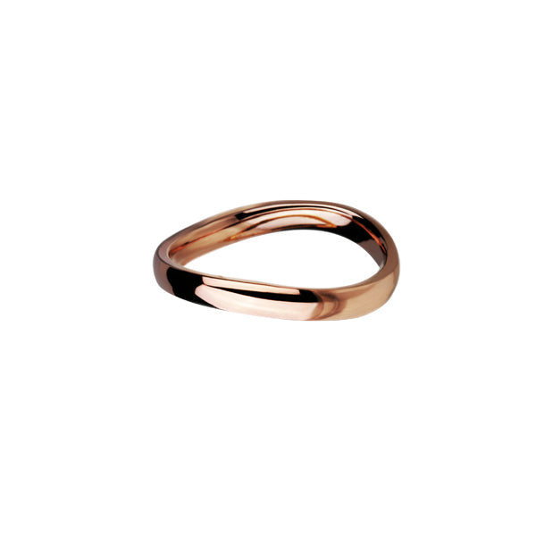 RSS533 STAINLESS STEEL RING AAB CO..
